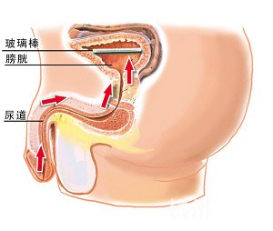 31岁时他为图一时刺激